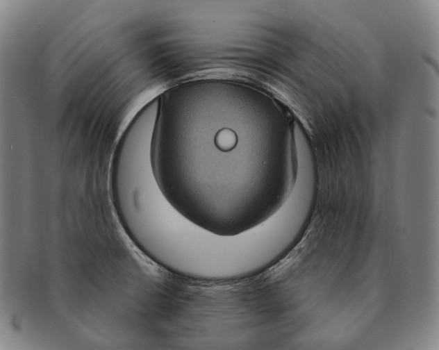 X0000091001426200708301325