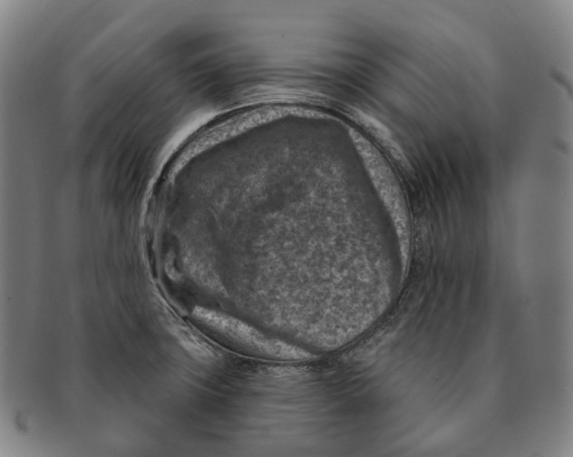 X0000091001427200708301325