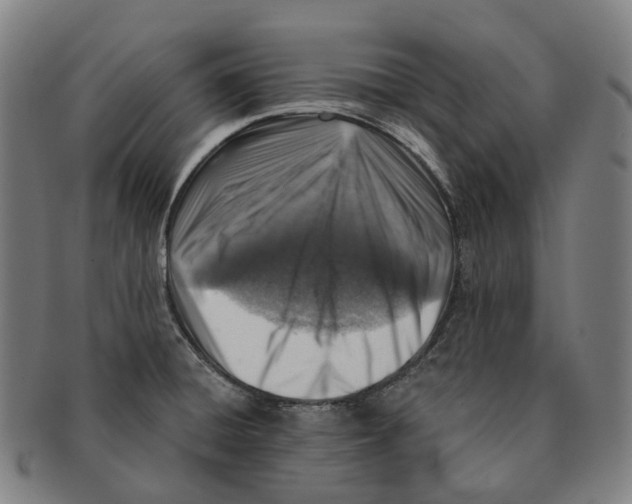 X0000091001428200708301325