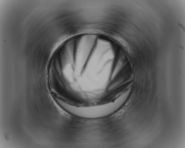 X0000091001430200708301325