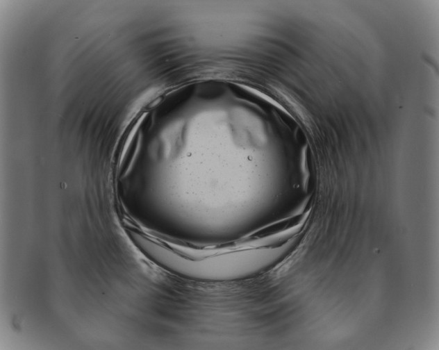 X0000091001434200708301325