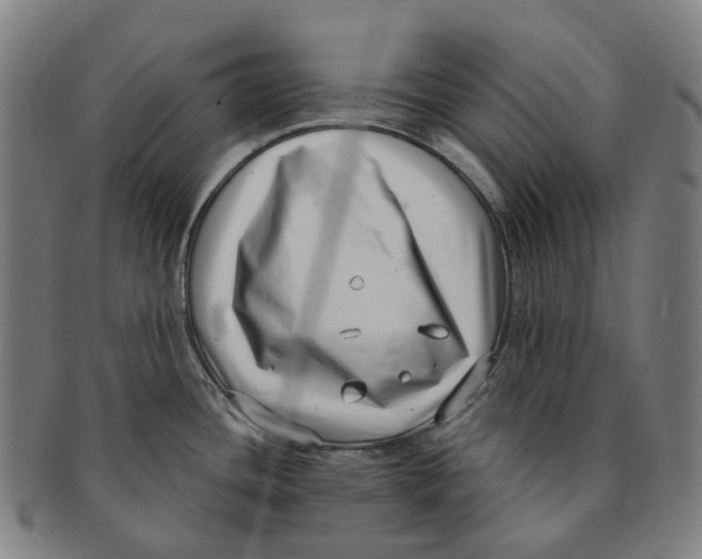 X0000091001436200708301325