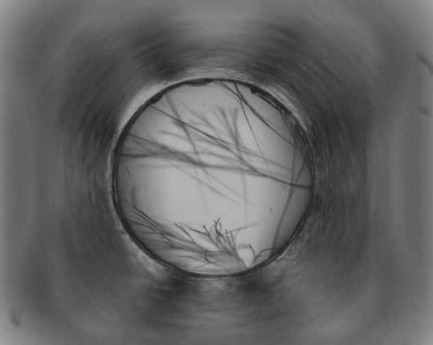 X0000091001438200708301325