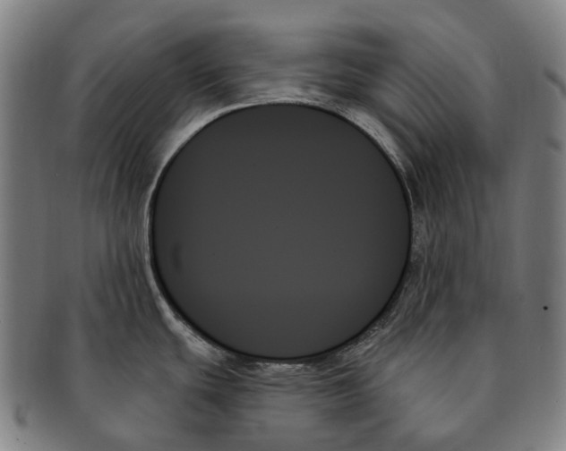 X0000091001439200708301325