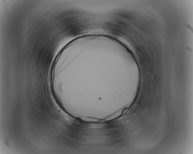 X0000091001440200708301325