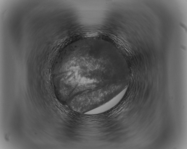 X0000091001441200708301324