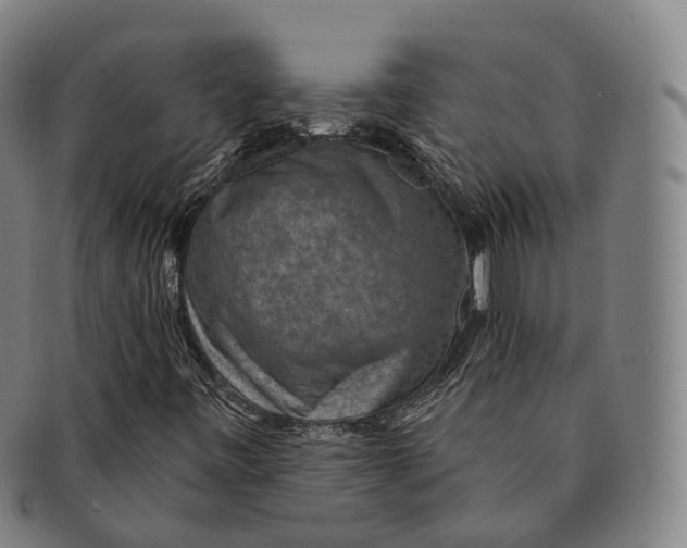 X0000091001443200708301324