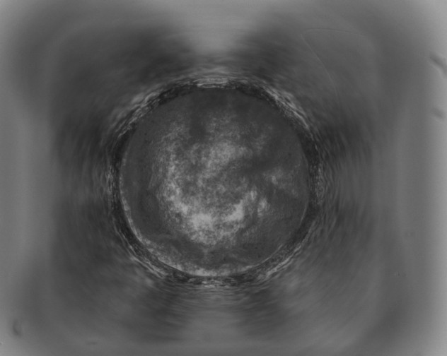 X0000091001445200708301324