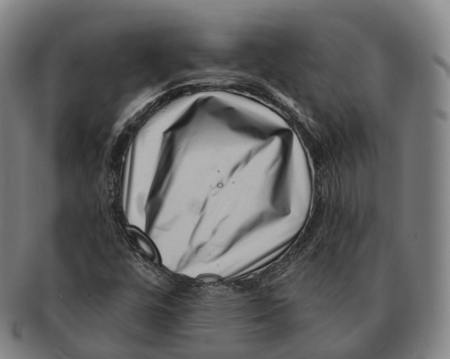 X0000091001448200708301324