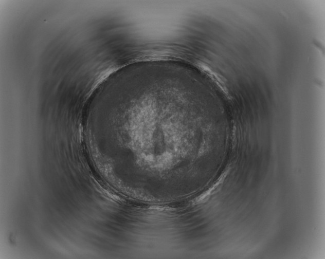 X0000091001449200708301324