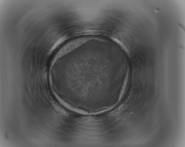 X0000091001450200708301324