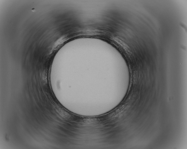 X0000091001451200708301324