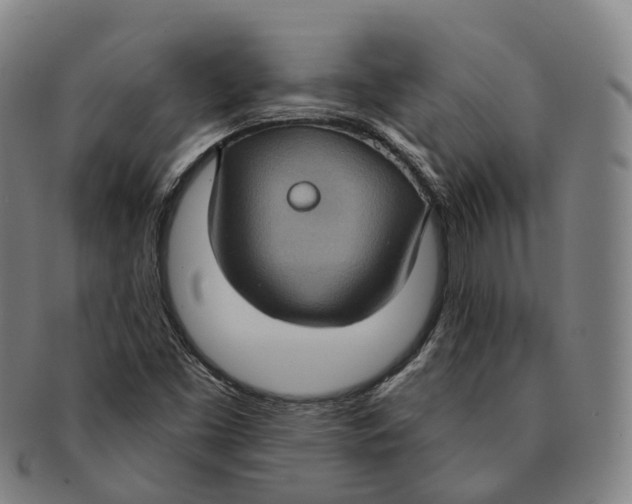 X0000091001453200708301324