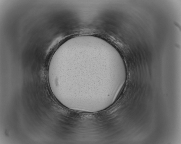 X0000091001454200708301324