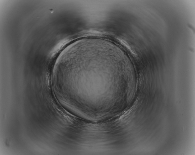 X0000091001455200708301324