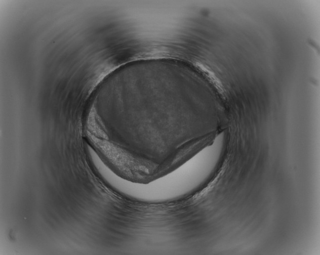 X0000091001457200708301324