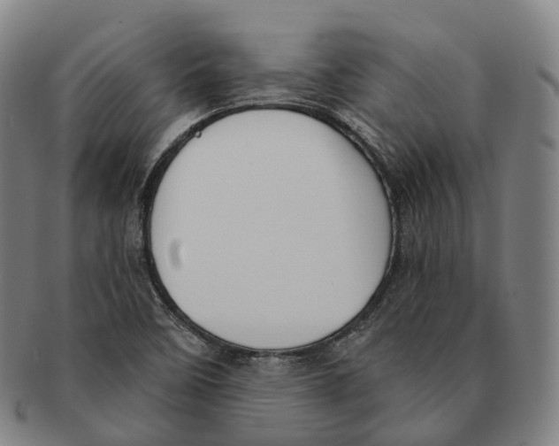 X0000091001458200708301324