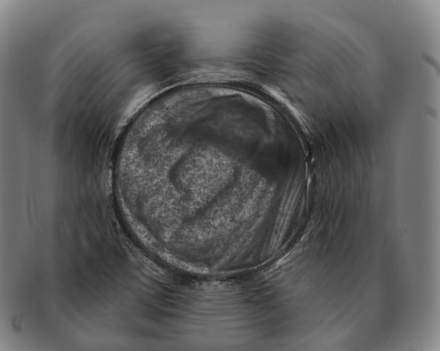 X0000091001459200708301324