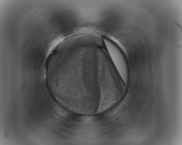 X0000091001461200708301324