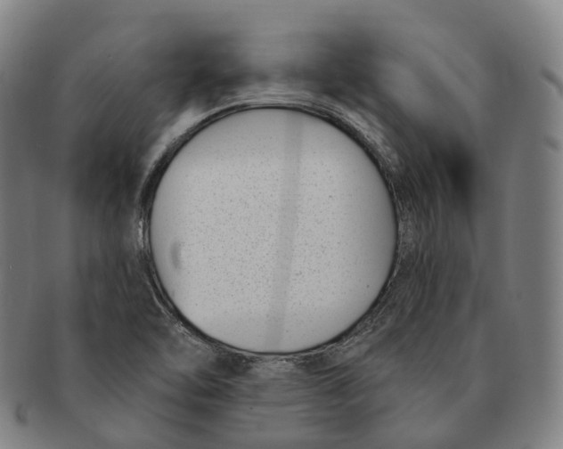 X0000091001462200708301324