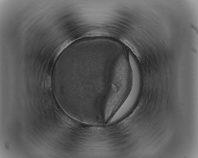 X0000091001465200708301324