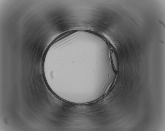 X0000091001468200708301323