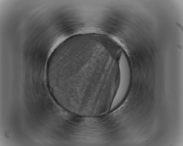 X0000091001469200708301323