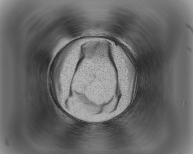 X0000091001471200708301323