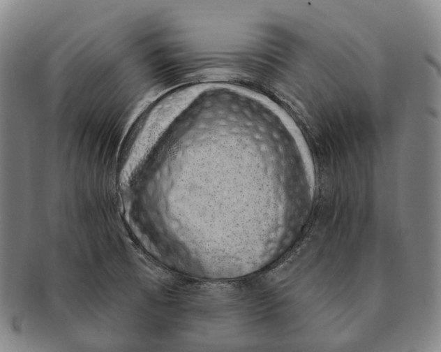 X0000091001473200708301323