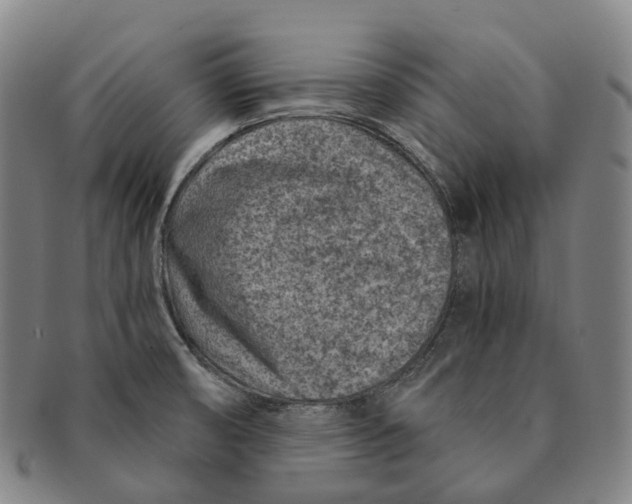 X0000091001474200708301323