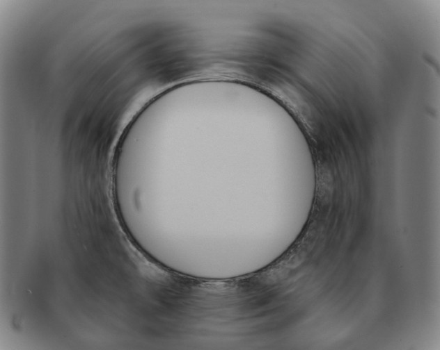 X0000091001478200708301323