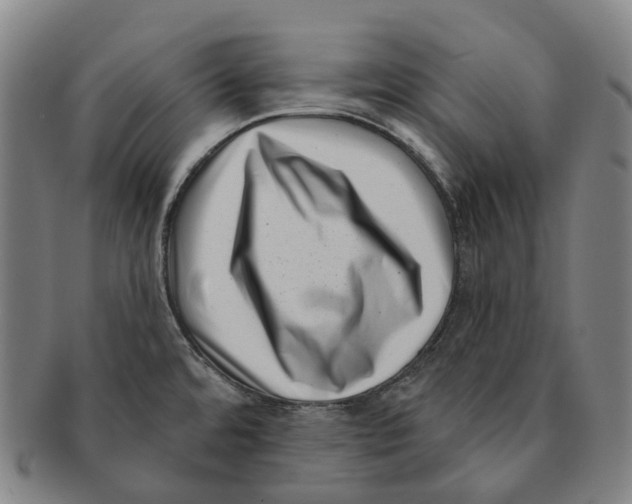 X0000091001480200708301323