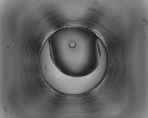 X0000091001481200708301323