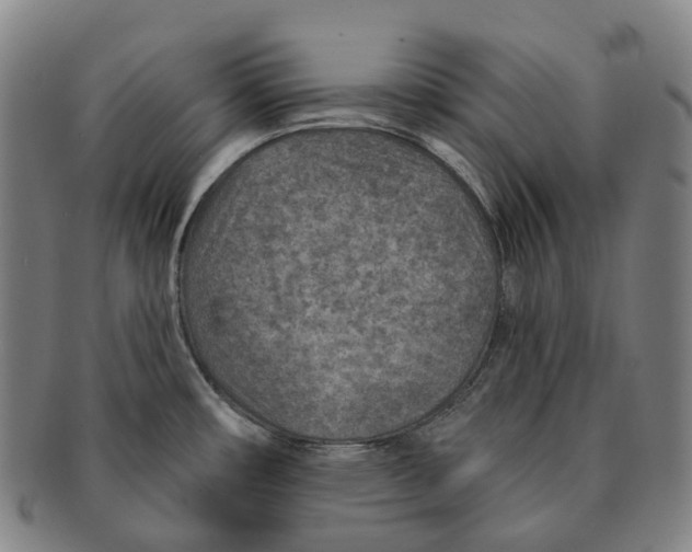 X0000091001482200708301323