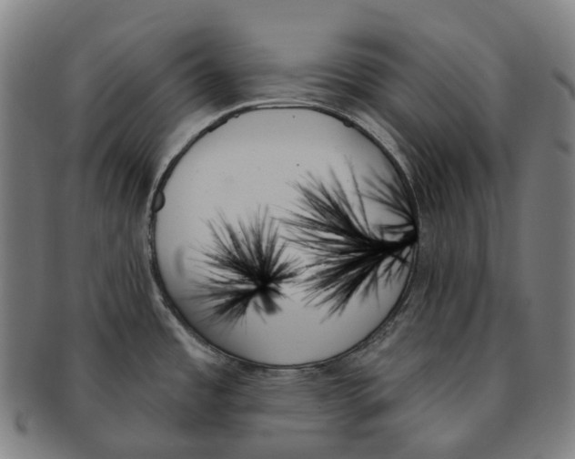 X0000091001485200708301323