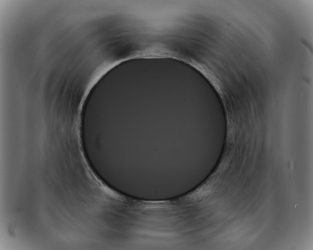 X0000091001486200708301323