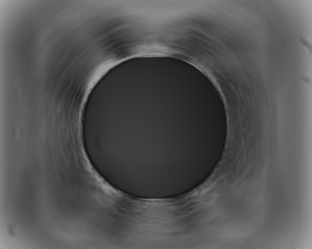 X0000091001488200708301323