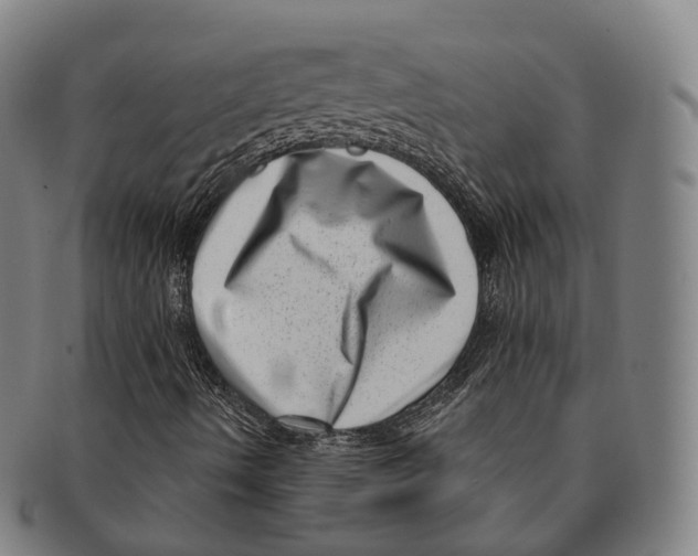 X0000091001490200708301322