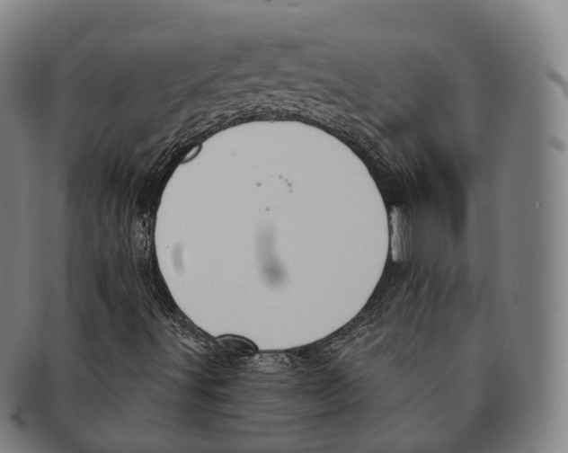 X0000091001491200708301322