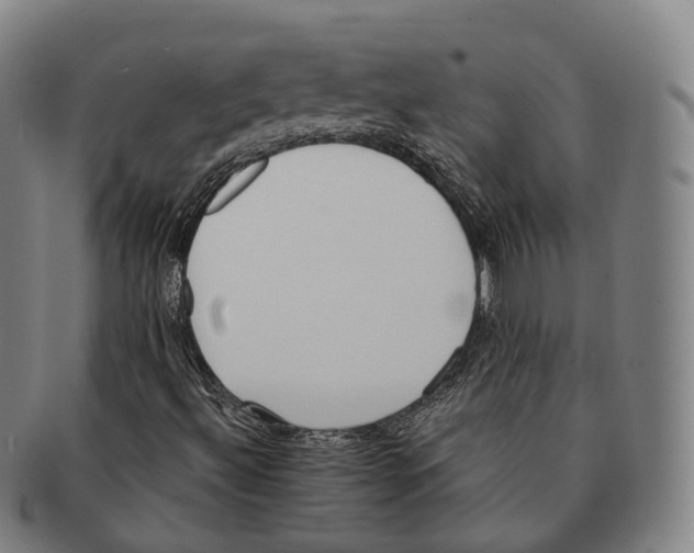 X0000091001492200708301322