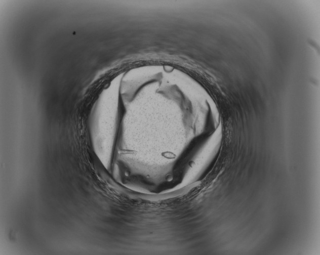 X0000091001494200708301322