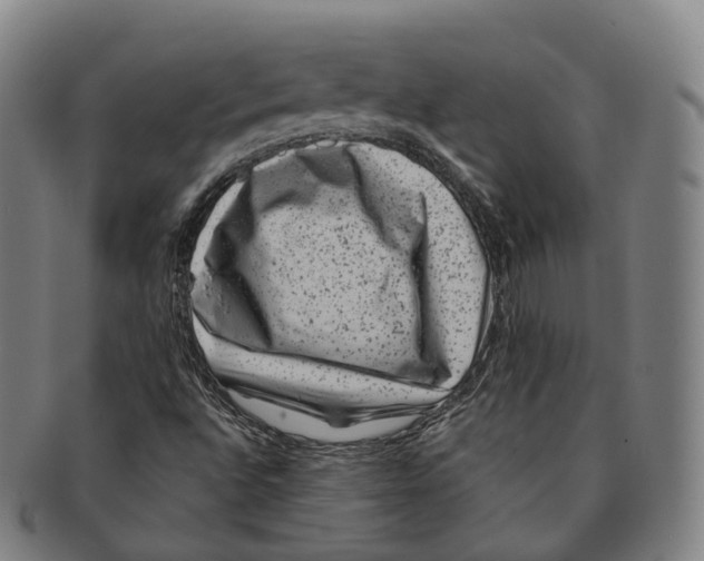 X0000091001496200708301322