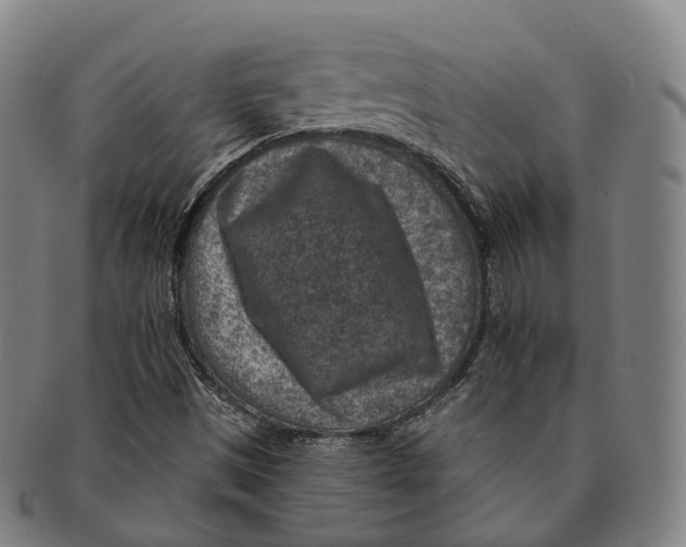 X0000091001497200708301323