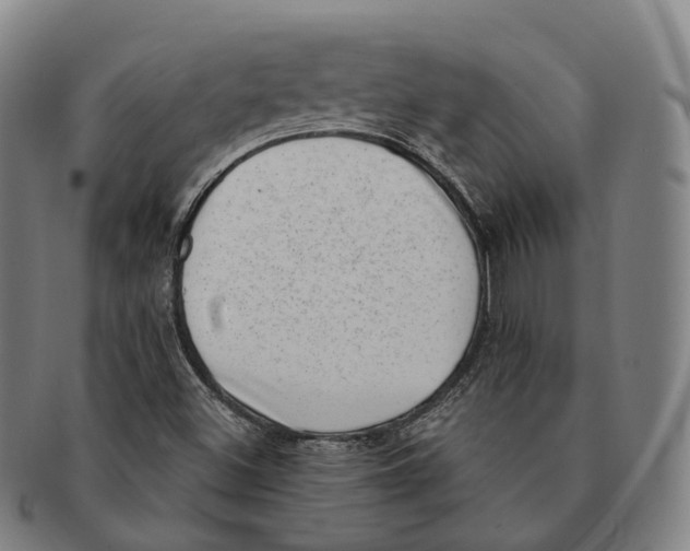 X0000091001500200708301323