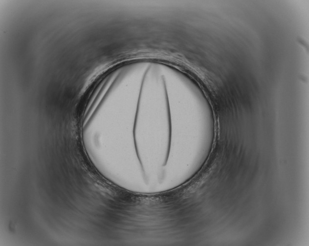 X0000091001501200708301323