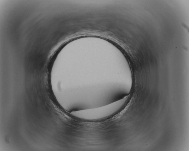 X0000091001502200708301323