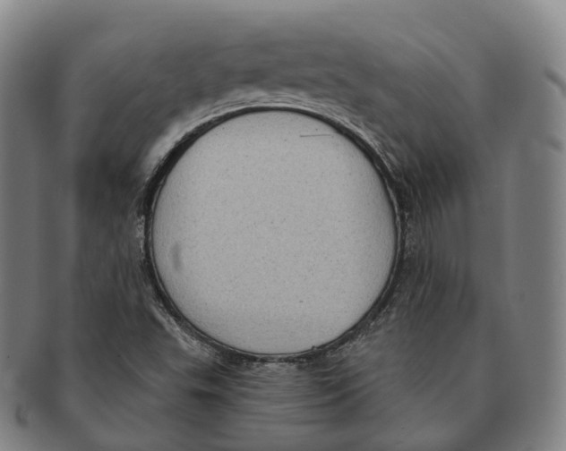 X0000091001503200708301323