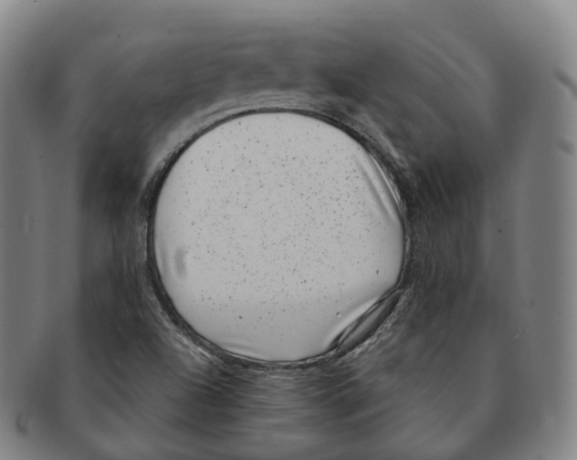 X0000091001504200708301323