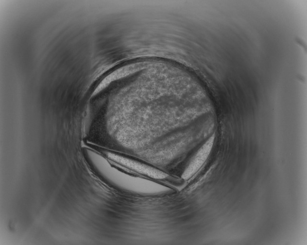 X0000091001505200708301323