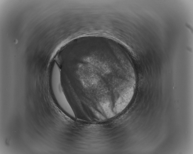 X0000091001506200708301323